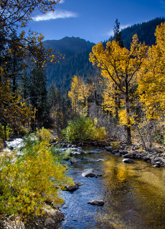 DSC_1081a.jpg