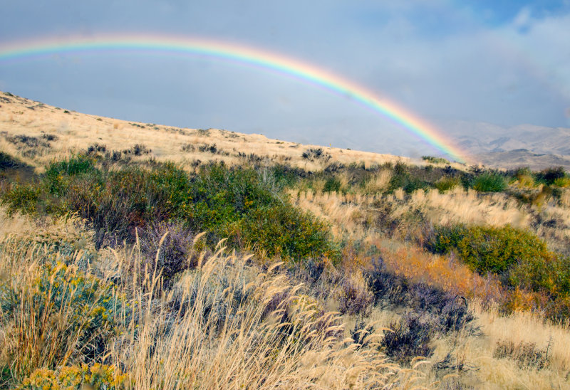 DSC_1336a.jpg