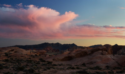 DSC_7635aC.jpg