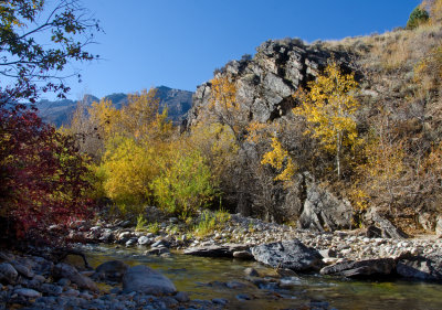 DSC_5531a.jpg