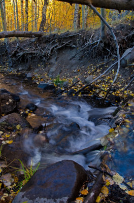 DSC_6000a.jpg
