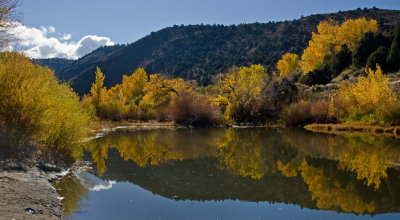 DSC_6339a.jpg