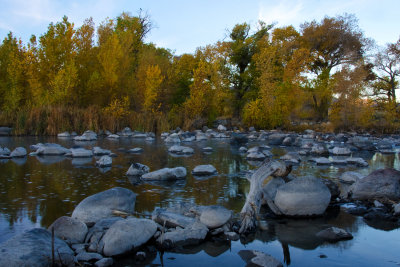 DSC_6389a.jpg