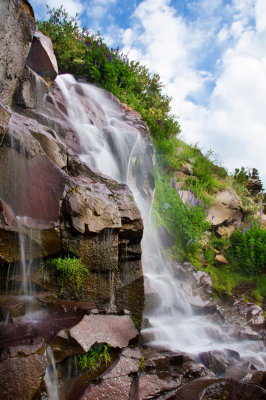 DSC_8191a.jpg