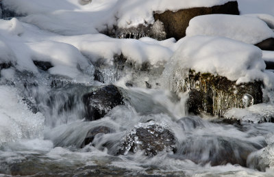 DSC_8126a.jpg