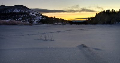 DSC_8165a.jpg