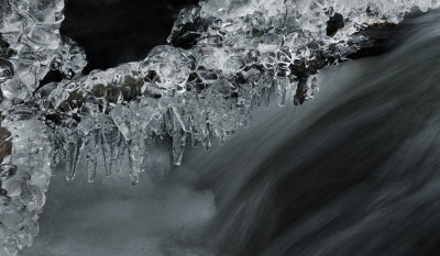 DSC_8293a.jpg