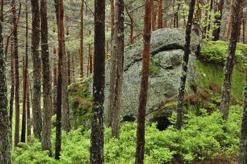 Mur paen - la Porte Koeberle