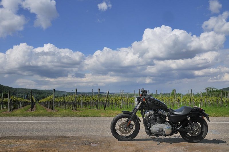 Balade motocycliste dans le vignoble