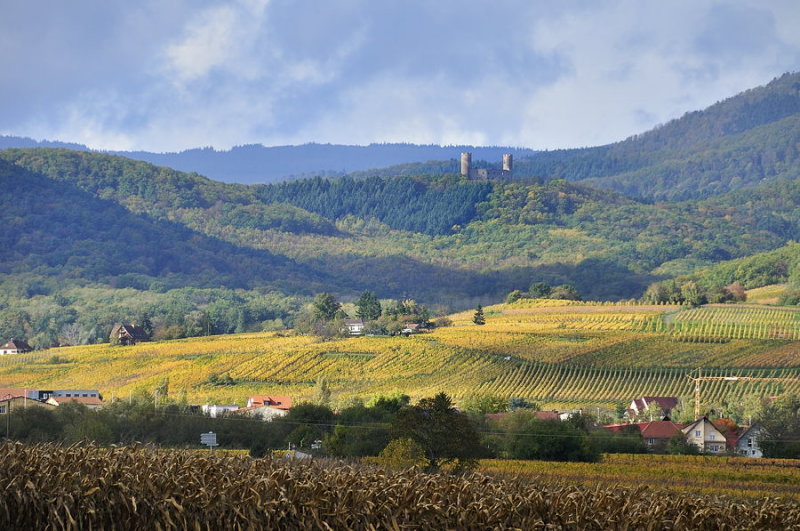 chateau dAndlau