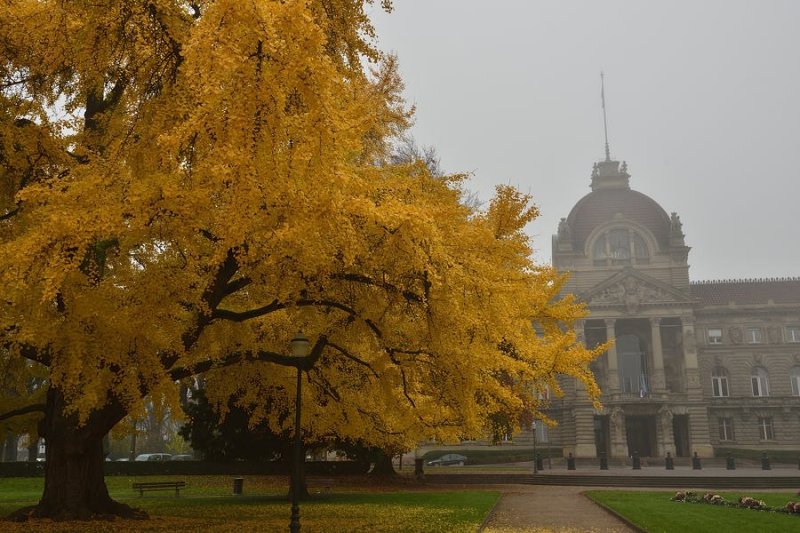 Place de la rpublique