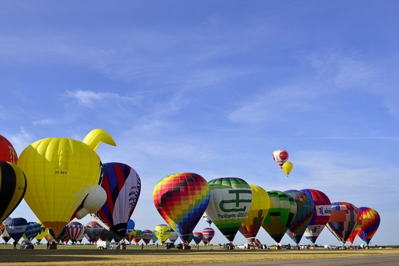 chambley 2015