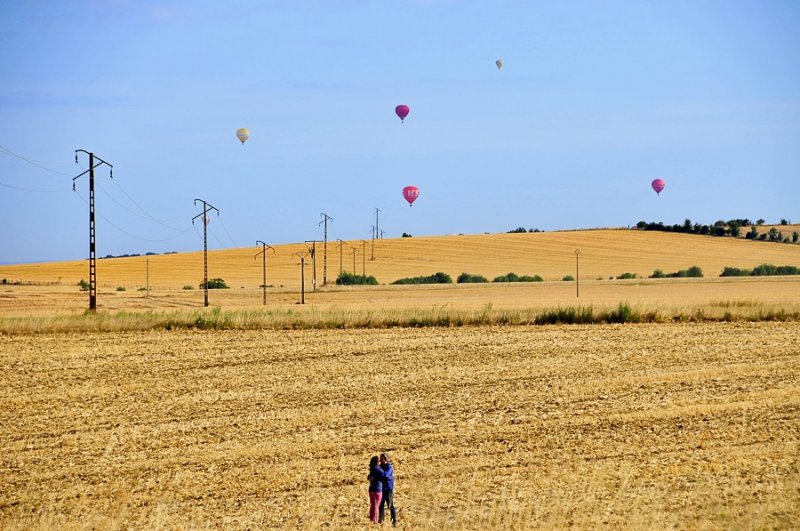 chambley 2015