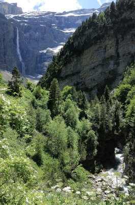 pyrenees