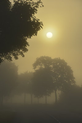 g9/77/889677/3/157623179.qQ1DdFHT.jpg