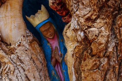 Tree Carving San Felipe De Neri