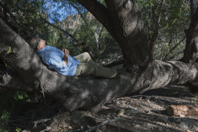 Resting on trail in BB