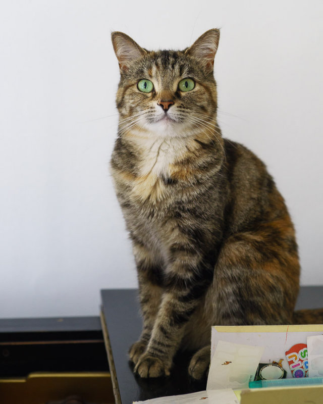 Dorothée