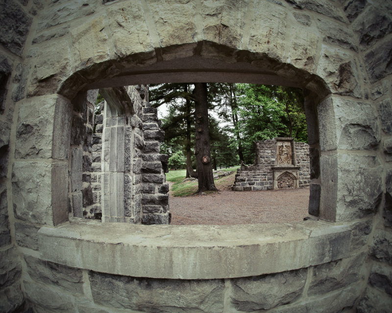 DSC09941-plg.jpg