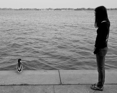 Friends (Toronto)