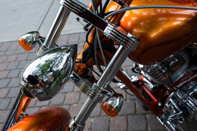 DSC05299.jpg