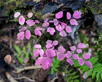 DSC03292.jpg