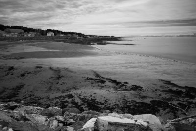 DSC09458-plg.jpg