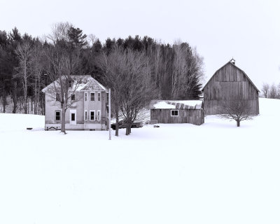 DSC08178-plg-2.jpg