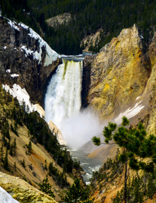 Yellowstone Falls IMG_0834r1200.jpg