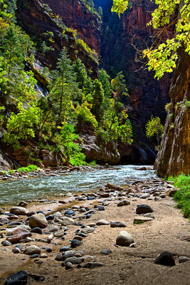 Virgin River