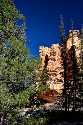 Bryce Canyon