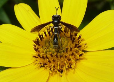 g9/78/1013578/3/152059118.nokbUGmE.jpg