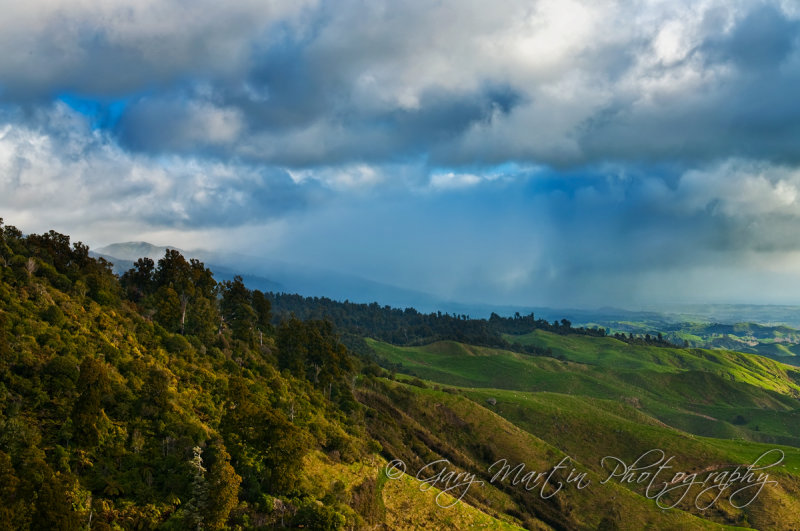 Ruahine Forest Park
