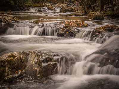 Smokey Mountain Stream