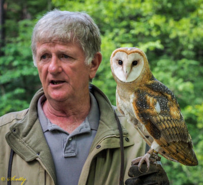 Dale and Northern Barn Owl