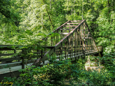 Wooden Bridge