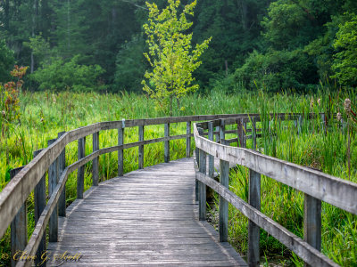 Walk Way