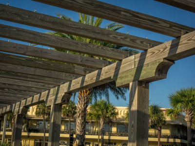 Arbor