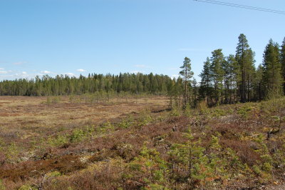 Pilpasuo - Oulu