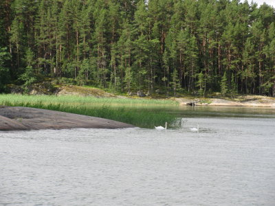 Teersalo - Naantali