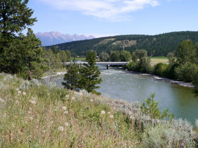 P1000274.jpg