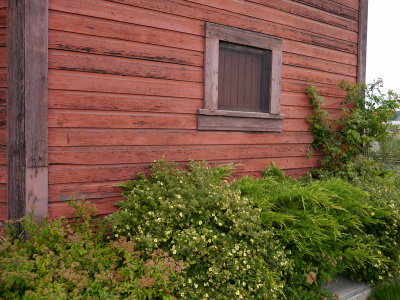 P1000308.jpg