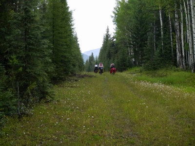P1000386.jpg