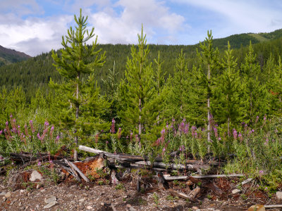 P1000417.jpg