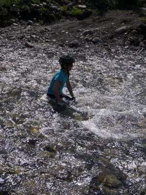P1000446.jpg