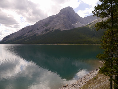 P1000525.jpg