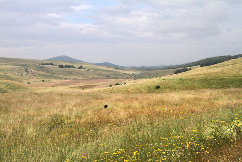 05.jpg
