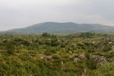 01.jpg