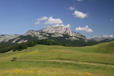 06.jpg