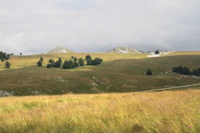 04.jpg